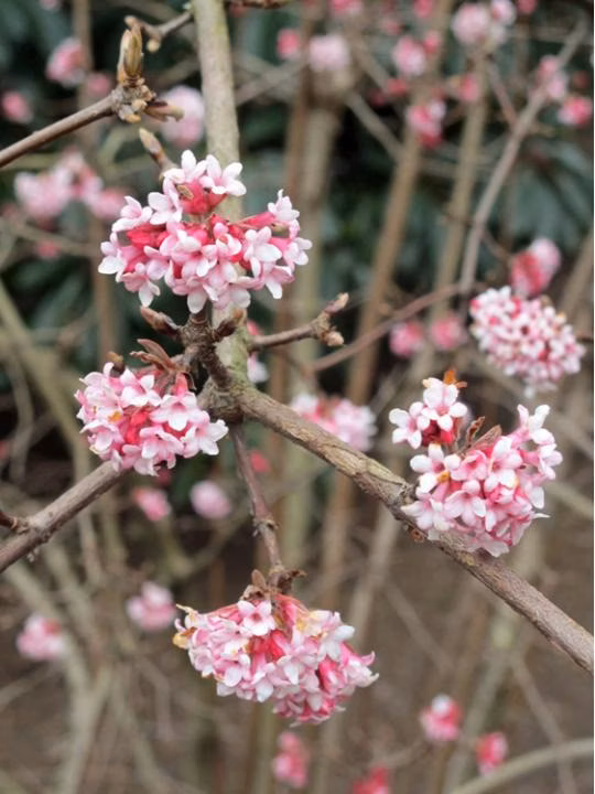 1302dafab8ff3bbddf3085e7788d0f0d