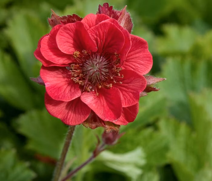 130885f61e7c8066c9b6730da8e9d1a8