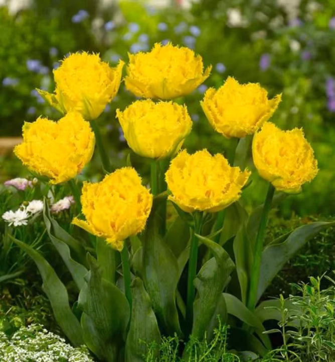 131f85269fd986d070e18e4b6e032071