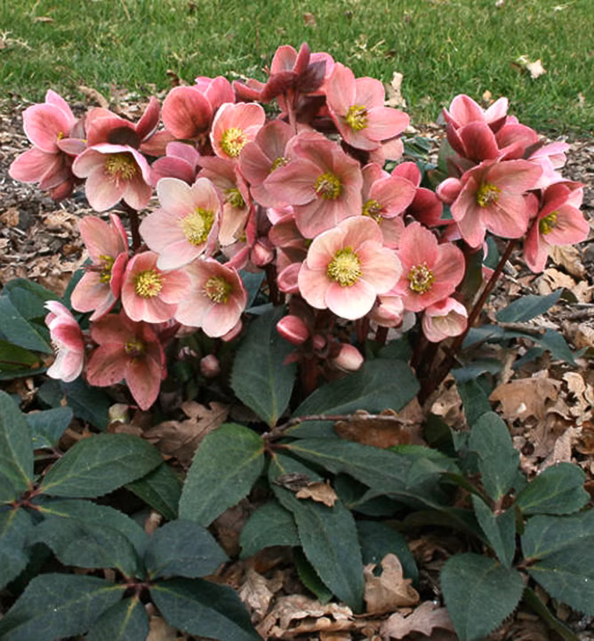 132943f9dec8f94771ada4e2525cbf4f