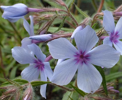 1344db852fdf6f9863fced5184683583