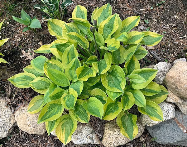 13826c68adfa4d590c4167db82728477