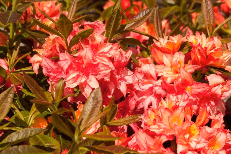 1395773a78ee8c327fa62eeb11943e73