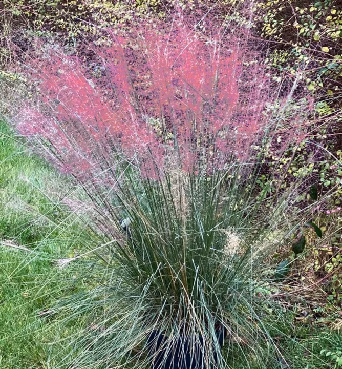 13bbbcd17e27c426c95d7ed23342f4e9