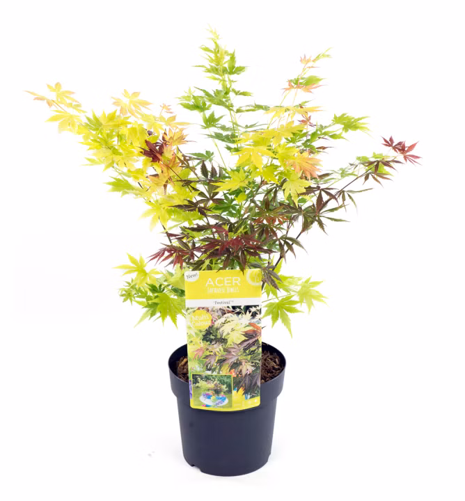 13e5aef5cc090b8b04b56af3845213b1