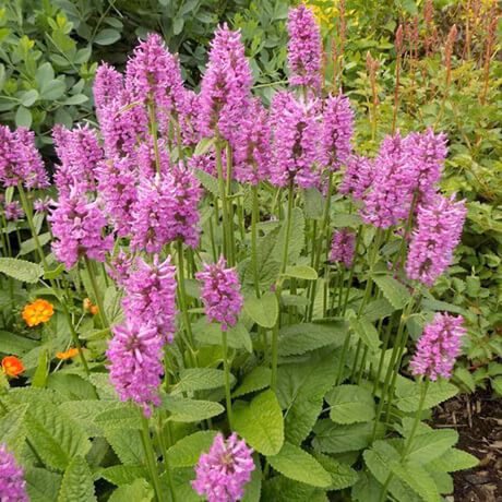 13f9e0bb60735bc87aaa8482852c6f13