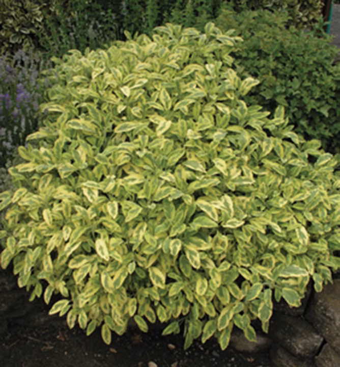 1428f414d1cd6399003cb0298c9f186f