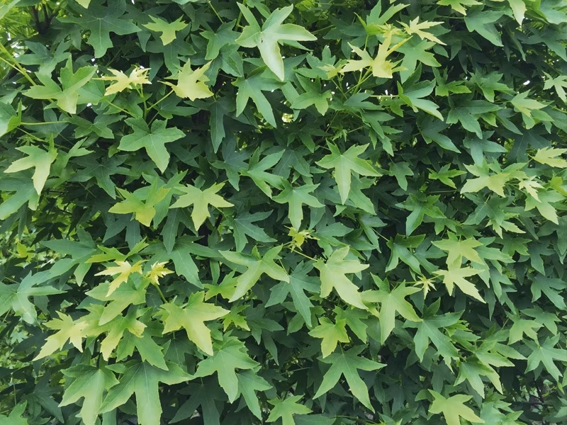 14402dd6dc298b8b91e61c8ec2c14f31