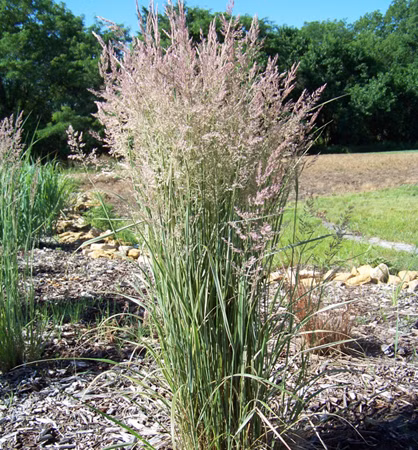 14658b1048ebaf5d6f7666d2dc031547