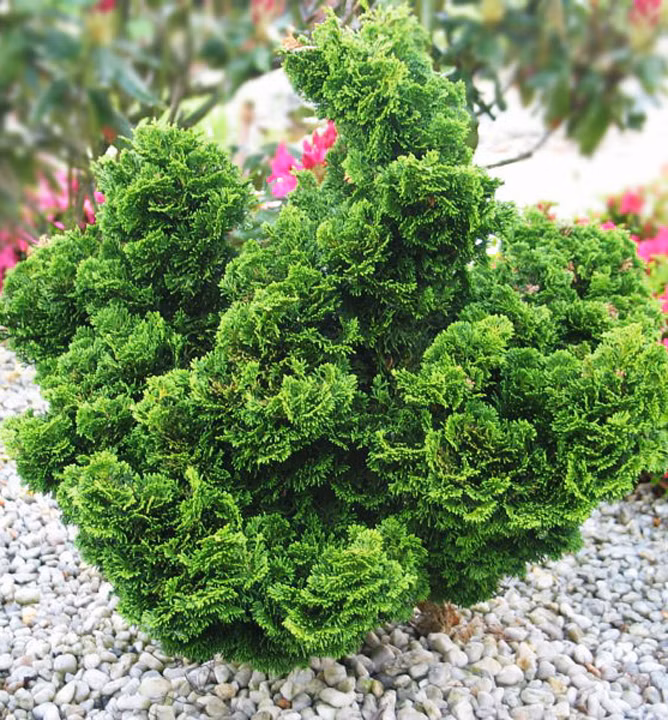 146aa5c8542d0e89d6e3d5d37e574a45