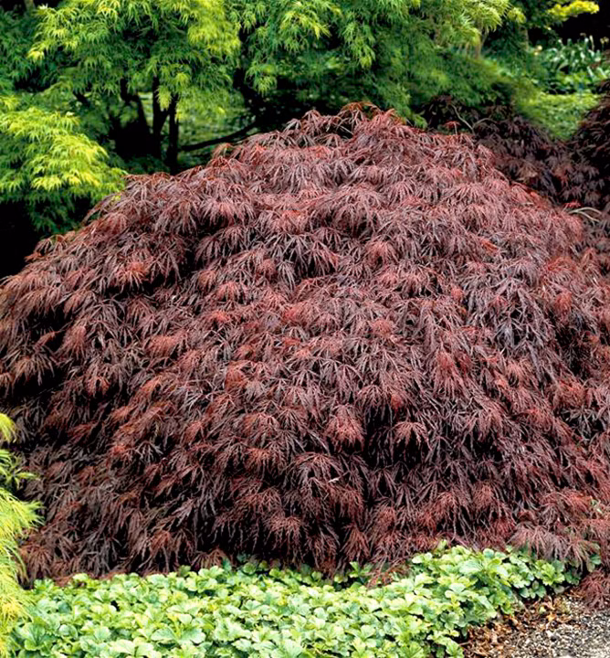 1472daaca553b2ed3d8dda27b398961e