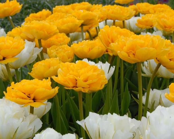 148468201124d7423ae40e9030695748