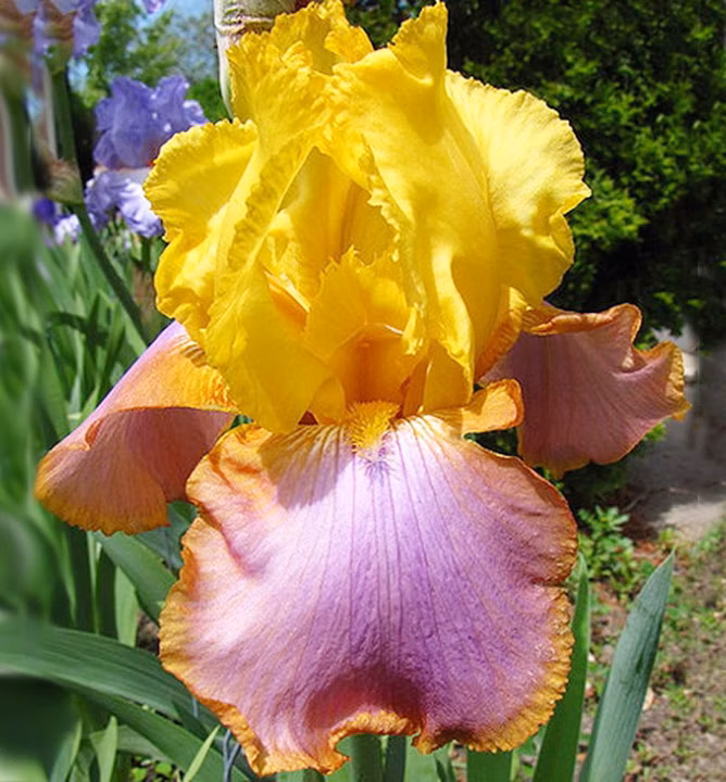 15178c3a591e8fcba8d9648f726a9cfa