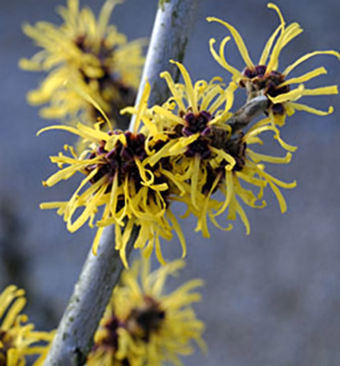 1556440b701fab1869896147de04ac58