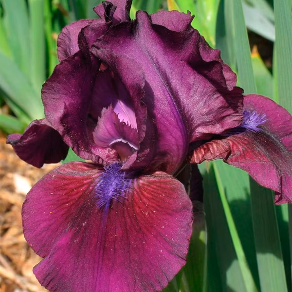 1571f146592c0e23f890e4e436038eed