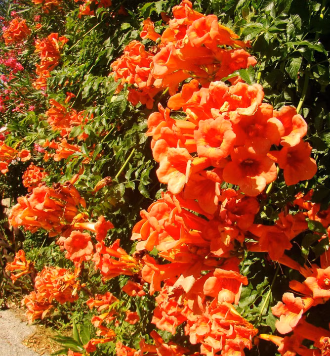 158663113b6057f3736991a9df47d300