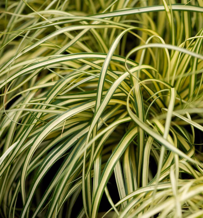 1618787fce104f899d010dbb1dfaa2ee