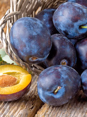 161bdd2911610d6cf502b9fa34b369c7