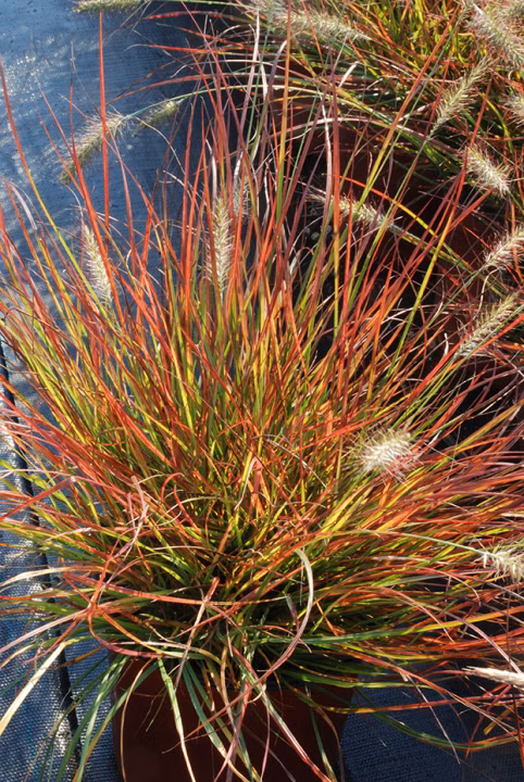 164d1316bb3218d1a415bdb02be8884f