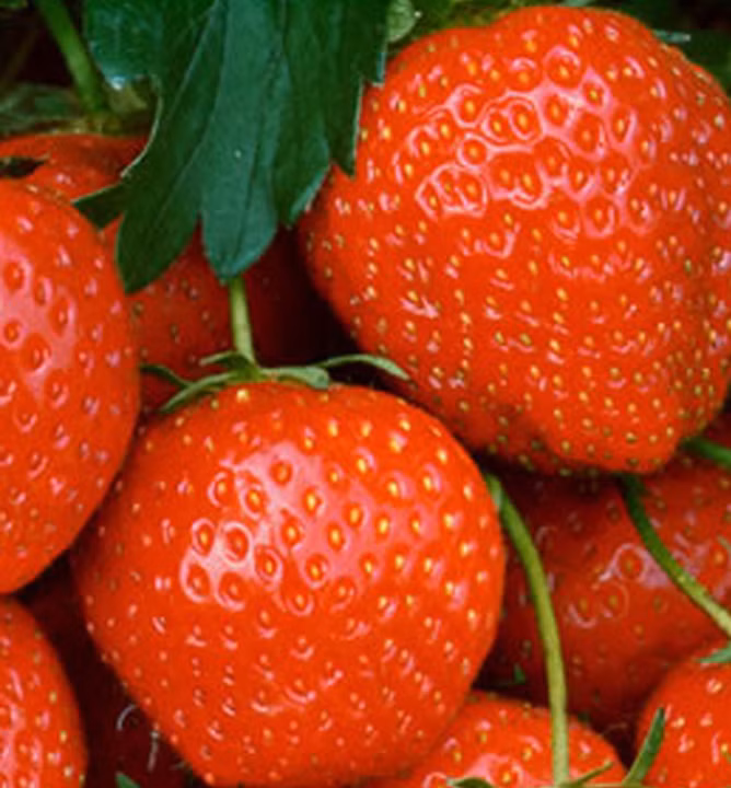 165d651e50f9652fa3dae03e533bb2a1