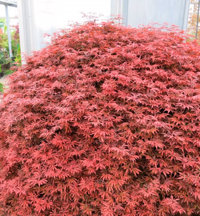 166311edc8c35748a63ecaec7a4de7b9