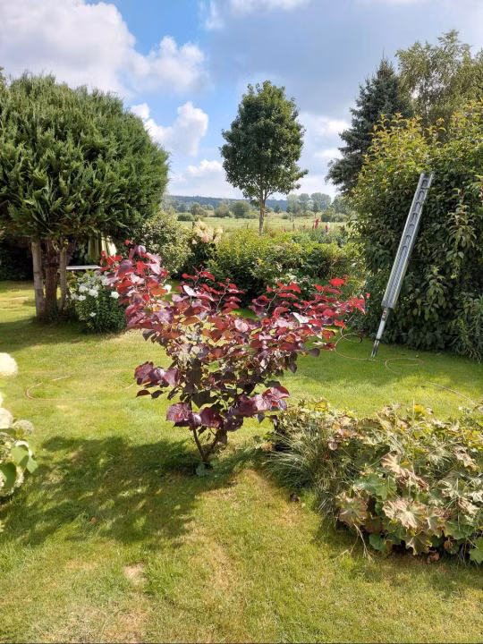 1668bd66921953c76e6ea5fdce24bad8