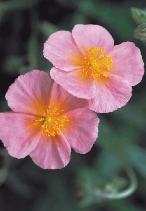 167877c90f82d44b9830320831897e36