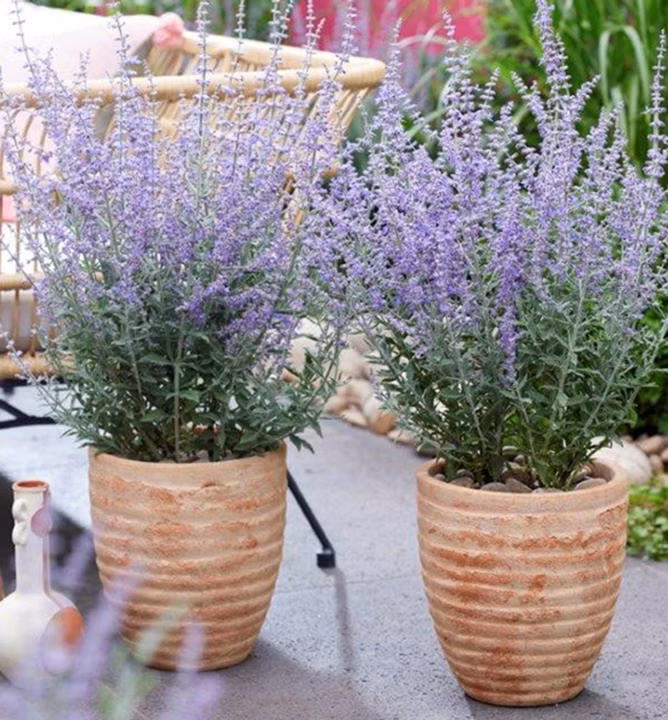 16859a5ea0db4863bb41325b89ab4731