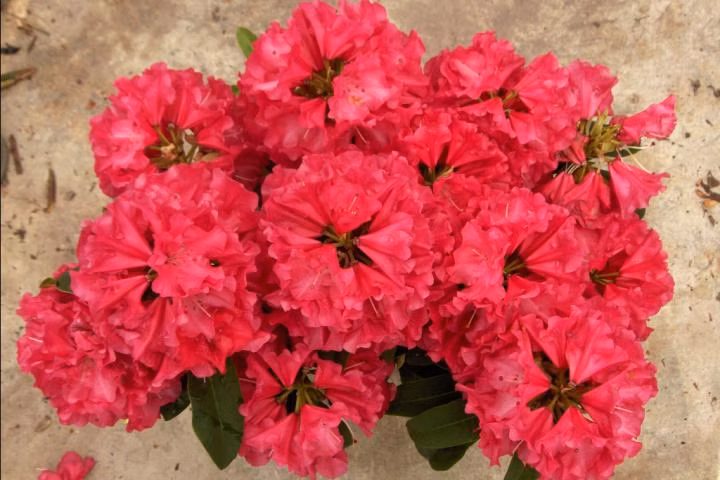 168baacc4faab3be3c856d7e284a2470