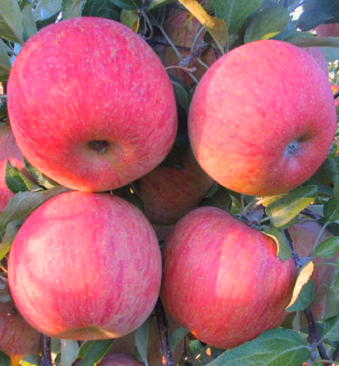 16b8fb56d2aee9fcb82562bb6b5aaa08