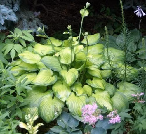 16c6729b4efee3952582fec75858efa2