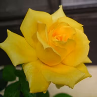 16dfe641c695f4fb575937aab320bc7e