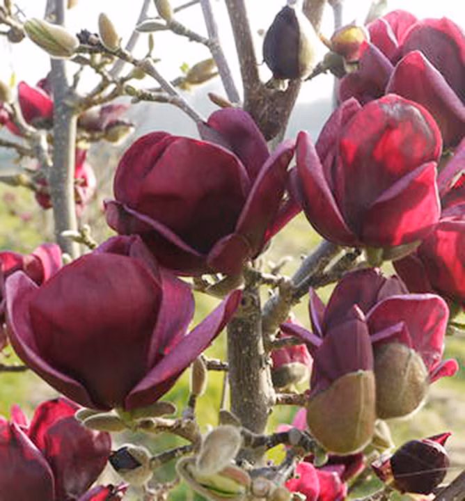 16ebe5f385f9194549fd7ebe5f3df729