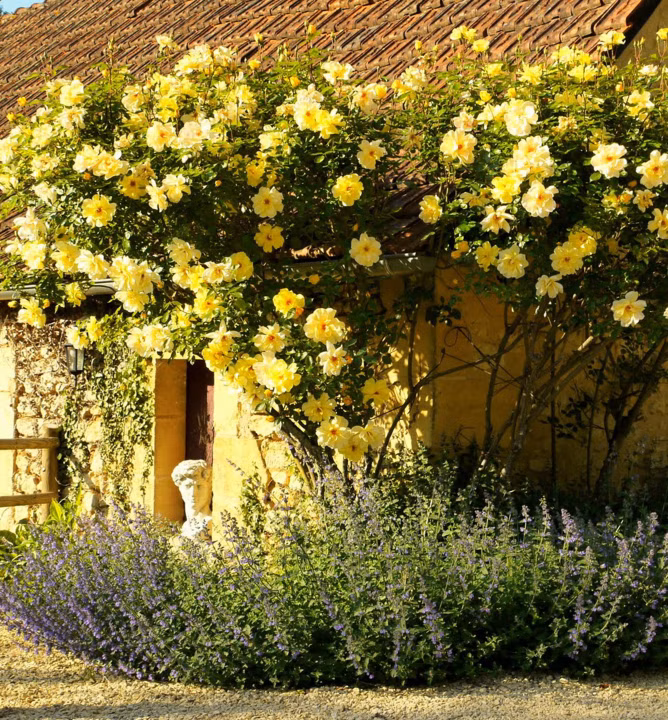 16f9958caaff9513413c5a095cdb8b7d