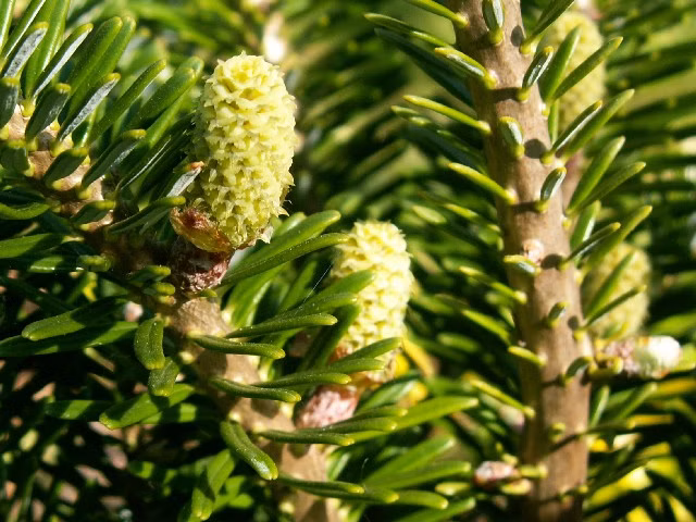 1721519ab45f4d88ca15b9fceb1074f7