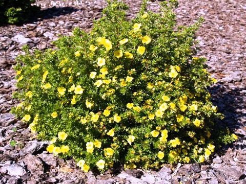 176e30b481b50c59105e68b7baf96e07