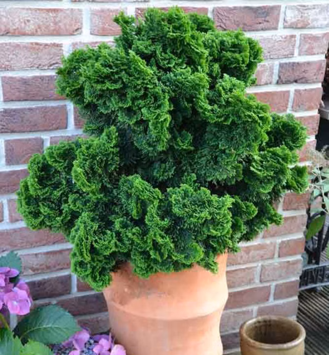 177d71a72e7c0b9fe964501f659c898f