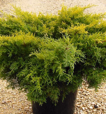 17ac4595fdfb19e665a7179d4e540848