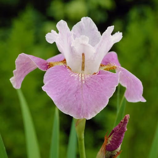 17d05820136c7c51e6768366bfee6d61