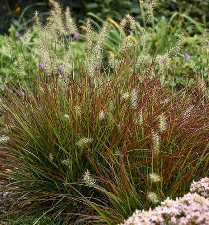 17ec7b35df64f47e6b42fb1be9d89c66