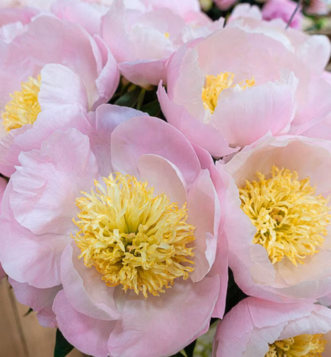 182ab0b3ddeb4569df2c18466d58a47d