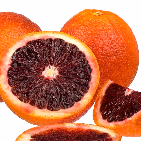 1854d2202391a17df26341a50a4372f0