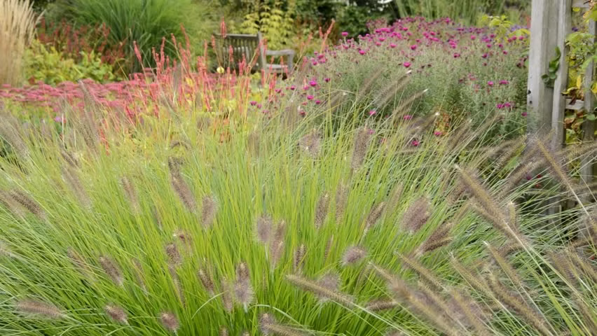 1862657db8dea256c9fa6e130eef94cd