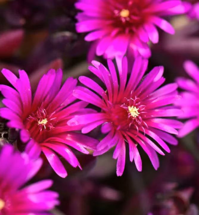 18792f233bc7a4ae3431c589f02c36b0