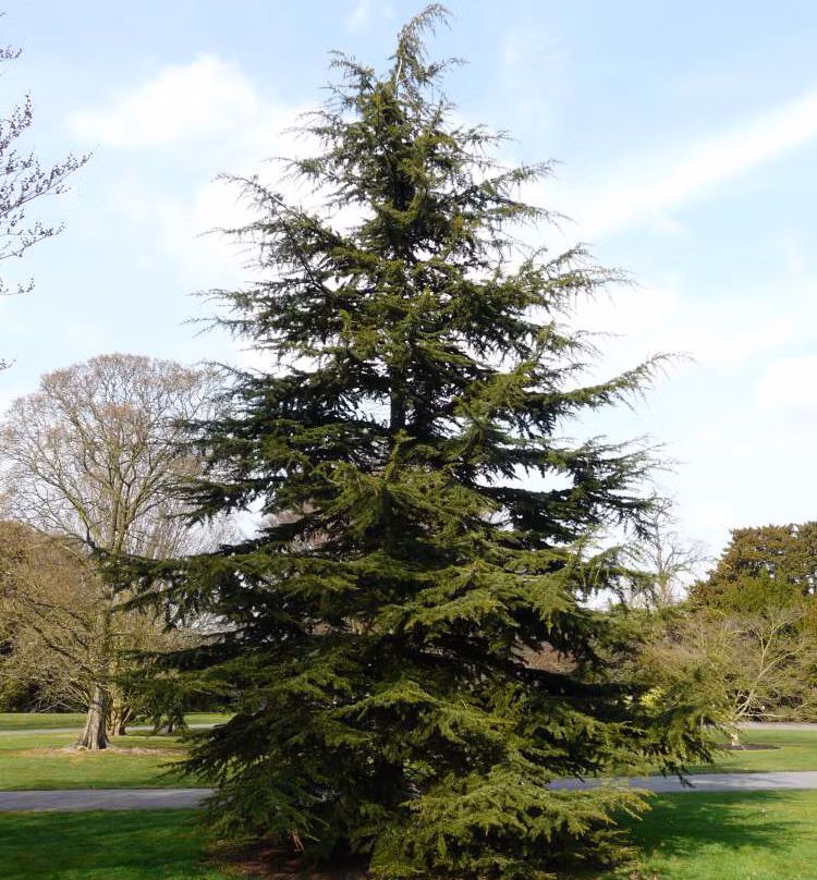 18a4e0859982d3dc1f43e7fd1cd1588b