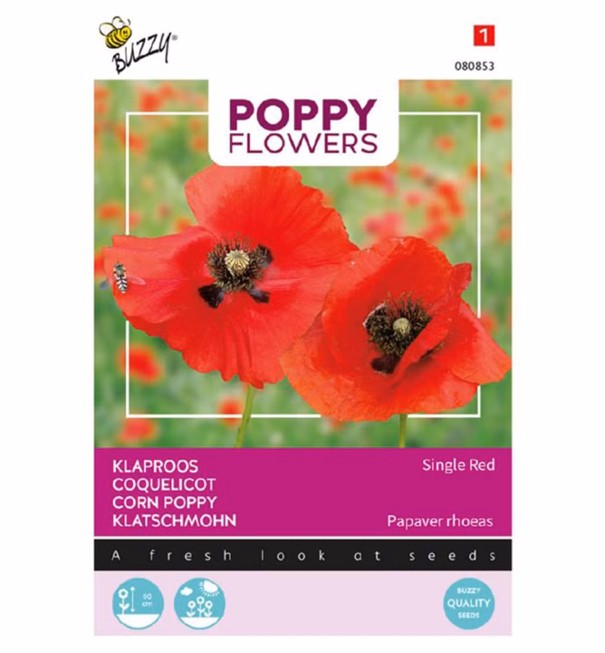 18b578e9ce3ef1d79674a4a48d7b4185