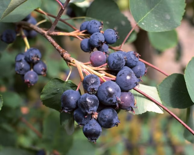 18c5b49b38db8fa5cf9c62559608f102