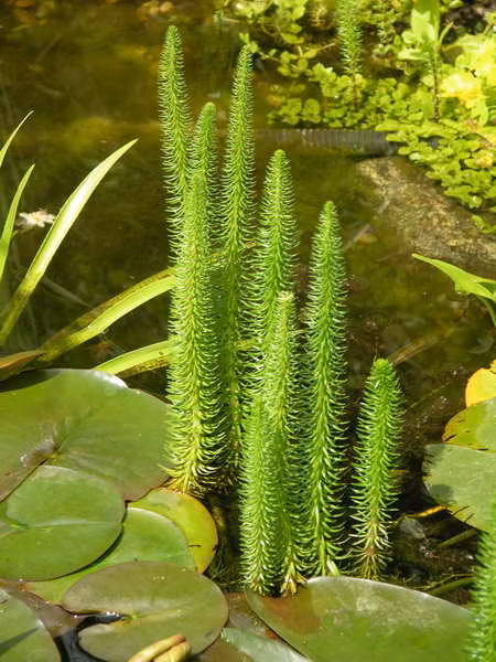 190219eaf45e8a7a9cd84aad324836f0