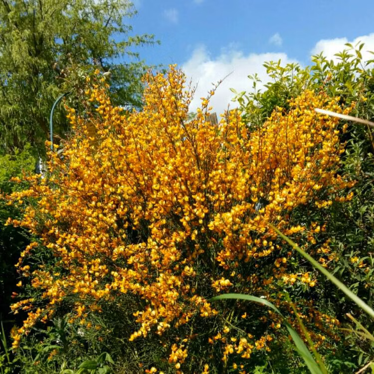 1908c5c238f164696196106bd83d9e7a