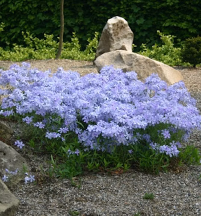 19234ff2e2bf967e01c55a2682259476